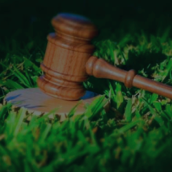 Curso derecho ambiental para ingenieros