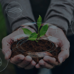 Indicadores SSOMA en Power BI